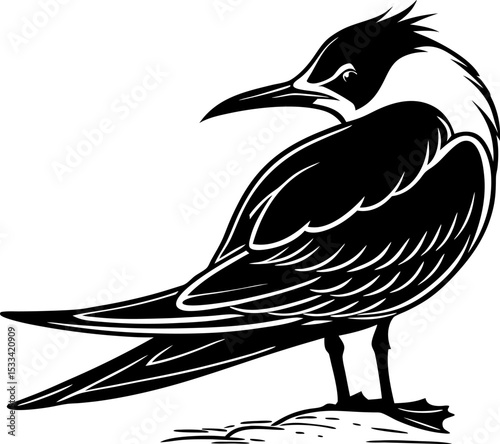Black Tern Seabird silhouette - Vector illustration Perfect for Tattoo or Logo Design