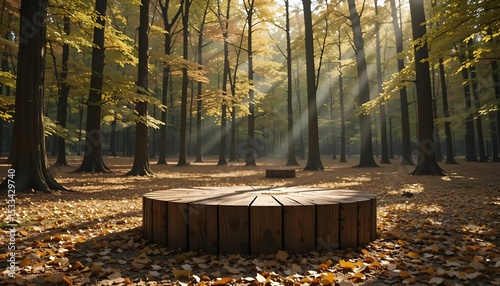 Autumn forest scenery with sunlight and wooden platform for product display background concept photography