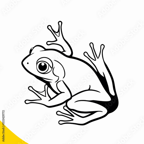 Line art drawing of a frog, amphibian illustration