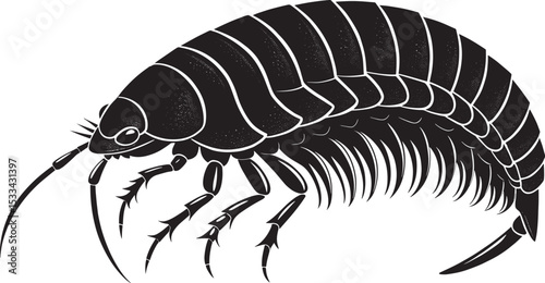 A silhouette vector illustration of sea shirmp 