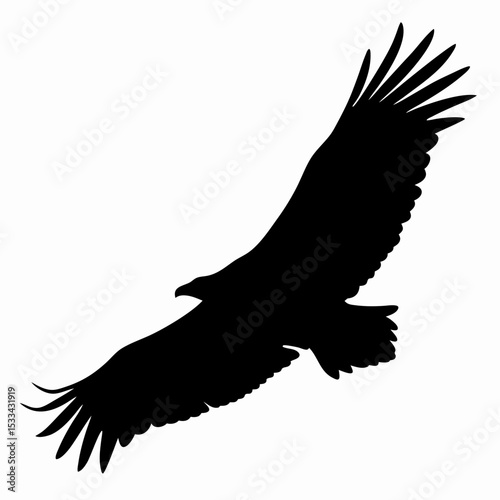 Silhouette of Flying Eagle with Spread Wings Isolated on White Background
