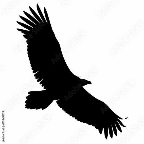 Silhouette of Flying Eagle with Spread Wings Isolated on White Background
