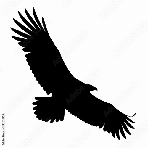 Silhouette of Flying Eagle with Spread Wings Isolated on White Background
