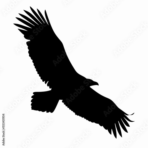 Silhouette of Flying Eagle with Spread Wings Isolated on White Background
