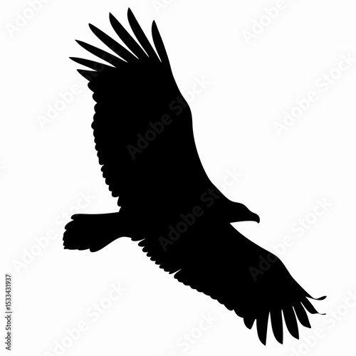 Silhouette of Flying Eagle with Spread Wings Isolated on White Background
