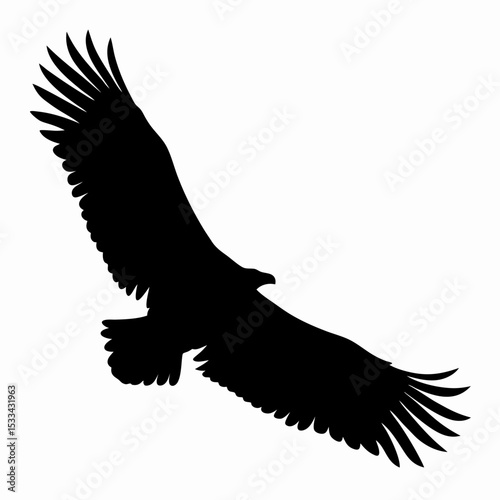 Silhouette of Flying Eagle with Spread Wings Isolated on White Background
