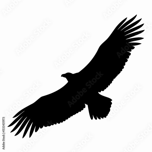 Silhouette of Flying Eagle with Spread Wings Isolated on White Background
