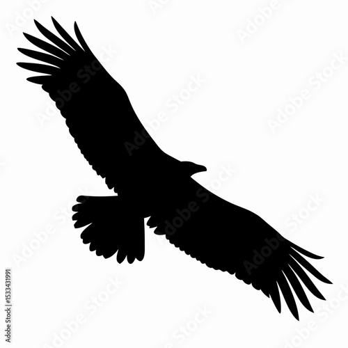 Silhouette of Flying Eagle with Spread Wings Isolated on White Background
