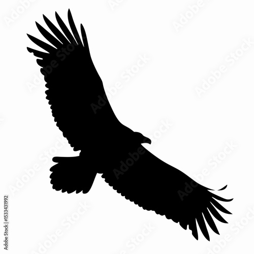 Silhouette of Flying Eagle with Spread Wings Isolated on White Background
