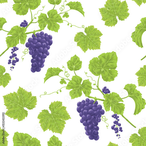 Grapes and Vines on White A Fresh and Organic Themed Composition