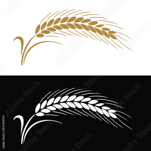 wheat ears vector