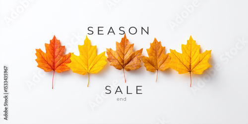 Season sale end with autumn leaves in orange and yellow colors arranged in row on white background for seasonal promotion and discount concept