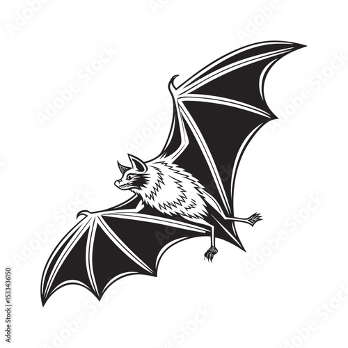 A Natural Bat's For White Background