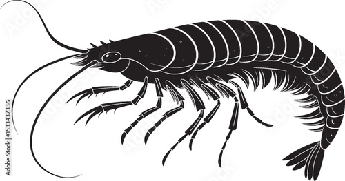 Isolated crayfish, a gourmet seafood crustacean, on a white background, silhouette vector
