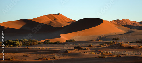 Dune spines are lit by the rising sun in Sossusvlei, Namibia.