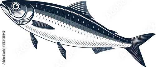 Fresh raw seafood fish with silver fin and tail isolated on a white background