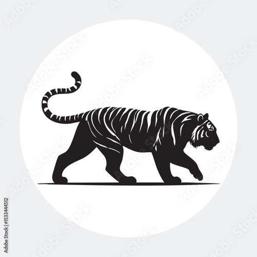 Photography Tiger Icon Images