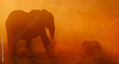 A mother and calf desert Elephant walk through a dusty sunset in Etosha National Park, Namibia.
