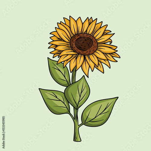 Detailed Illustration of a Sunflower in Bloom