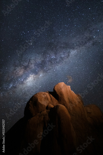 A small tree grows from a granite rock formation under the Milky Way, Spitzkoppe, Namibia.