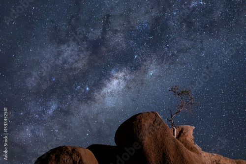 A small tree grows from a granite rock formation under the Milky Way, Spitzkoppe, Namibia.