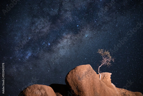 A small tree grows from a granite rock formation under the Milky Way, Spitzkoppe, Namibia.