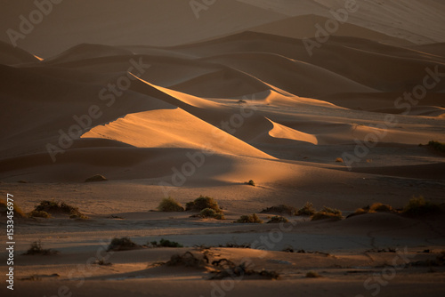 Sunlight begins to spread across the red dunes of Sossusvlei, Namibia.