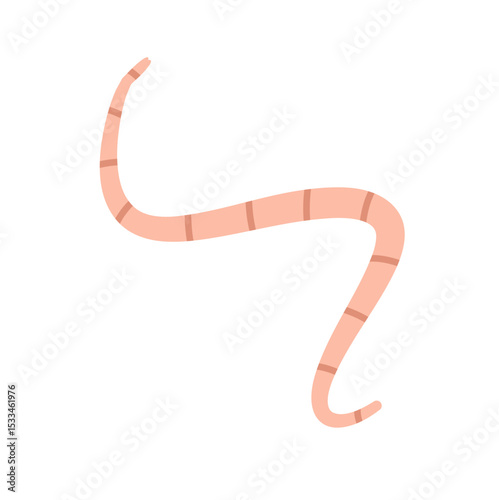 Cartoon earth worms vector illustration 