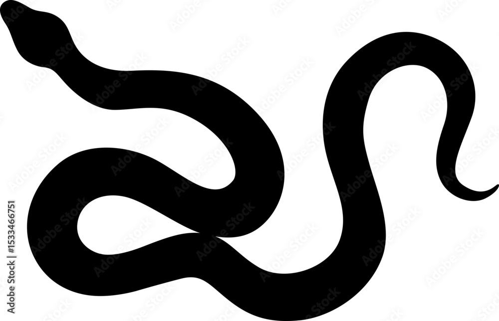 Fototapeta premium Snake Silhouette