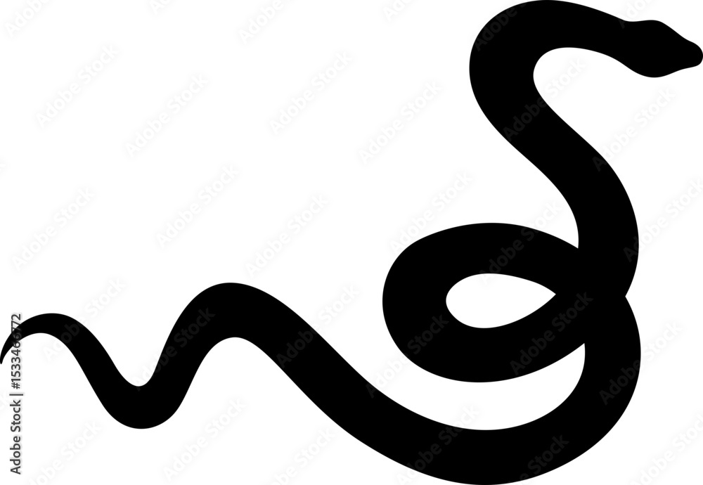 Fototapeta premium Snake Silhouette
