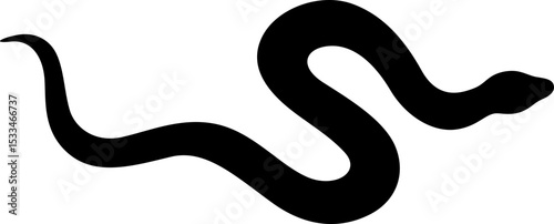 Snake Silhouette
