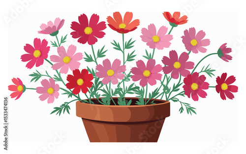 Cosmos Flower Bouquet in Pot  Hand-Drawn Style Botanical Artwork

