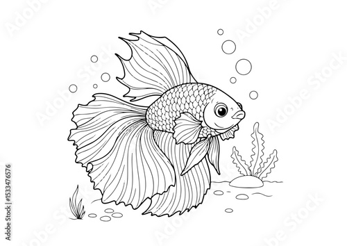 cute betta fish cartoon outline line art vector illustration for coloring page for chidren's kids, transparent background