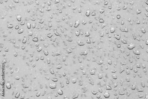 Wet surface after rain macro photo