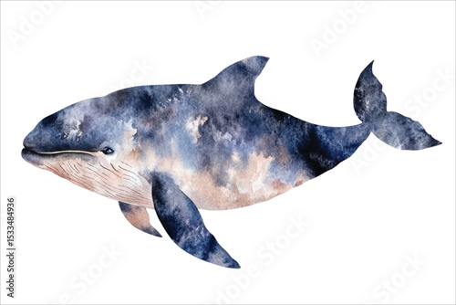 Whale watercolor vector illustration, underwater ocean animal art isolated on white background