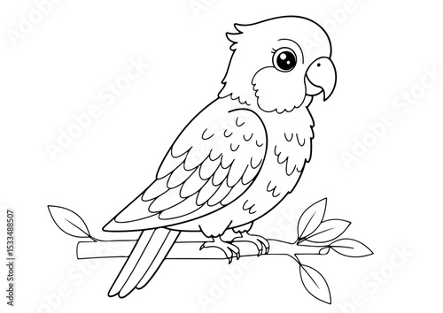 cute parrot cartoon outline line art vector illustration for coloring page for chidren's kids, transparent background