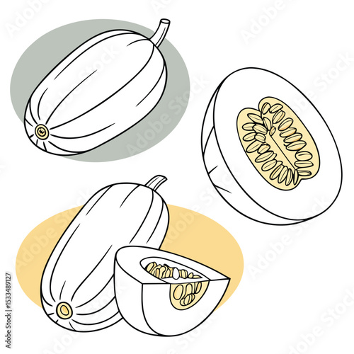 Collection set of Spaghetti squash, In different perspectives