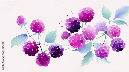 Watercolor dreams of plump blackberries a burst of summer sweetness painted with delicate brushstrokes and soft pastel
