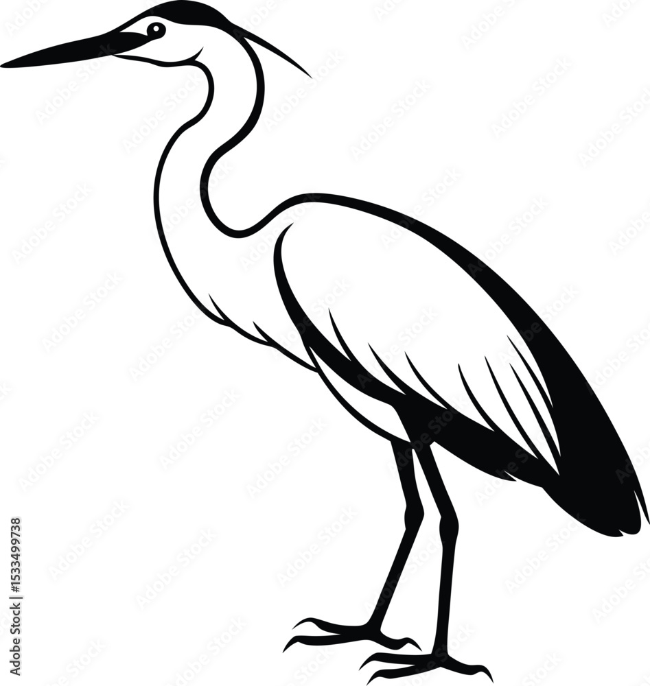 Obraz premium heron on a white background