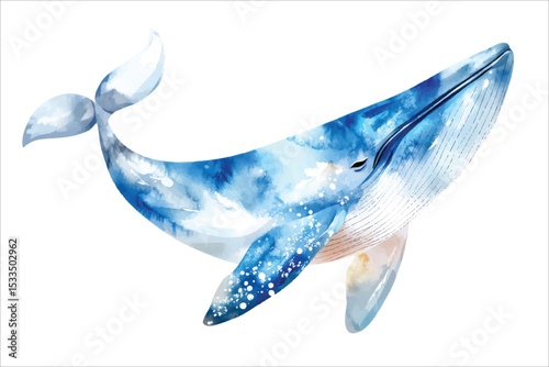 Whale watercolor vector illustration, underwater ocean animal art isolated on white background