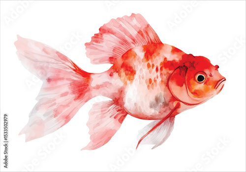 goldfish tropical watercolor vector illustration, underwater ocean animal art isolated on white background