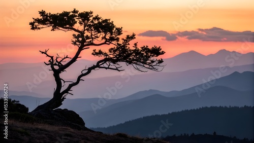 A solitary tree silhouetted against a pastel sunset standing resilient on a mountain peak embracing solitude with soft