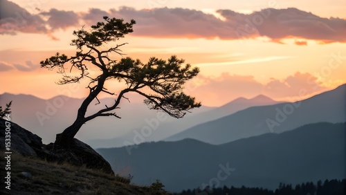 Witness the strength of a lone pine clinging to a cliff against the warm embrace of the sunset mountains captured with