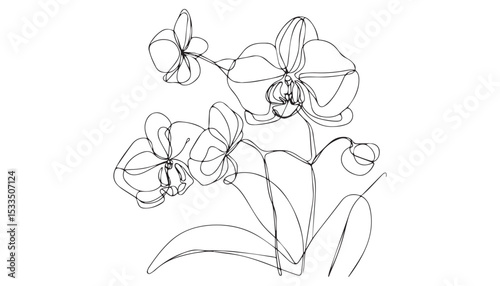 Continuous one single minimal line drawing Orchid flower