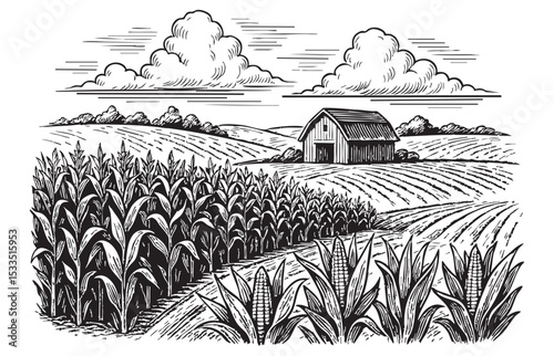 Cornfield with Barn and Rolling Hills Vintage Engraving Illustration