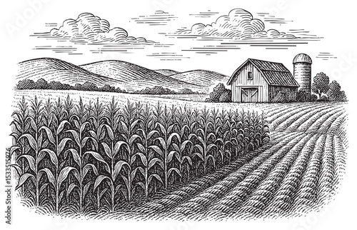 Cornfield with Barn and Rolling Hills Vintage Engraving Illustration
