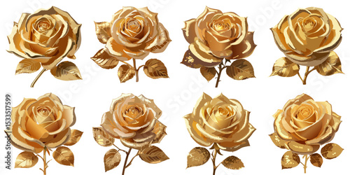 Multiple vector illustrations golden rose, real style

