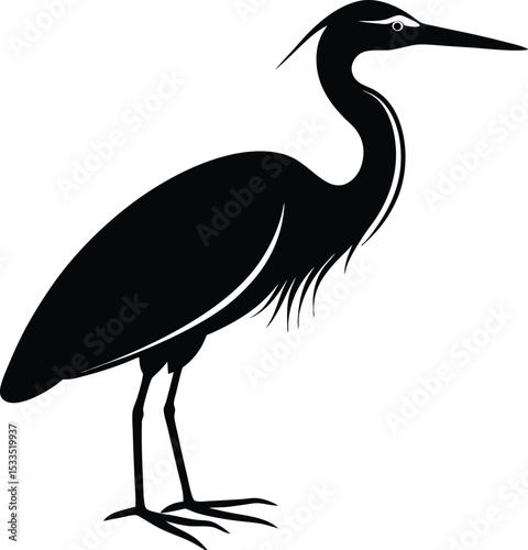 great blue heron ardea cinerea