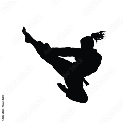 martial art Vector or karate silhouettes vector illustration Japan and China traditional martial art. self-defense presentation symbols. body poses icons. Karate poses signs