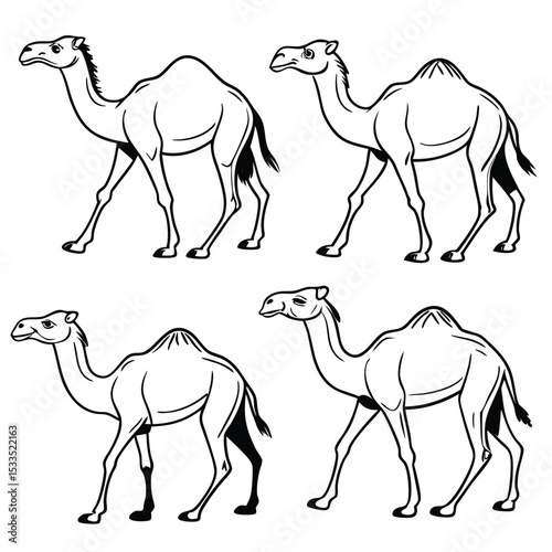 Four Cartoon Camels Walking in Different Poses Depicted with Black Outlines on a White Background Simple and Striking
